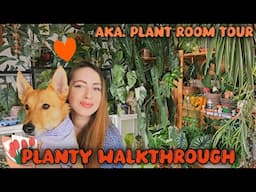 Plant room tour - walkthrough🌿 3 new IKEA cabinets!💛 The good, the bad and the ugly