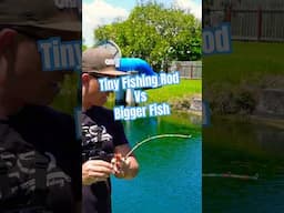 Tiny Fishing Rod 😭😂