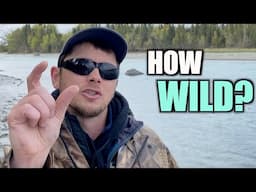 Are Alaska’s King Salmon even WILD anymore? Epic Kenai River Fishing to Hatchery only