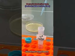Laboratory Experiment #shorts #microbiology #experiment #science #laboratory #viralvideo