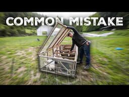Don't Make This (Common) Mistake, Homesteading