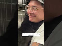 NYC cats need you - here's how you can help