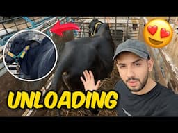 Ghar pe unloading hogayi😍 black beauty ki Qurbaani