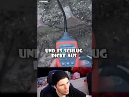 Hund rettet Leben!