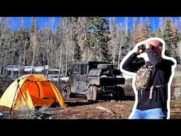 Solo tent camping in a UTV. Viewing wildlife!