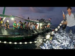 Camp Fishing Hari Ke.2 || Pasang Pukat Cincin - Jala Ikan bersama Nelayan Pulau Kadatua
