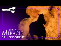 It's a Miracle | S4E12 | Fire in the Night