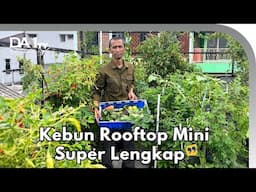 Beginilah Cara Menanam di Rooftop Rumah
