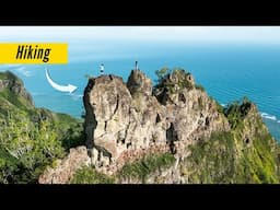 Windward Oahu's Best Scramble