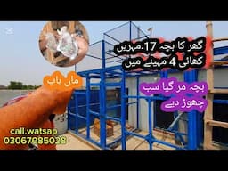 17 mohro wala bacha or uska.maa.baap || 13 mohro wala || بھائی نے سب ختم۔کر دیا  جیٹھ میں اڑے بچے