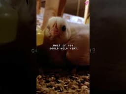 What if you could help her?