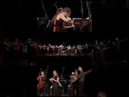 LARGO - Telemann Concerto for 2 Flutes & Violin