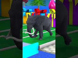 Long Slide Game #elephant #Animal #3d #cartoon #animation #shorts #short