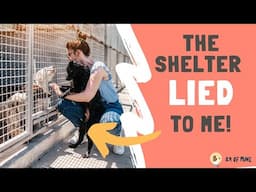 The Shelter LIED To Me About My Dog!