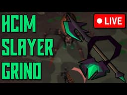Crushing Some Spiders? HCIM | LIVE 🎤