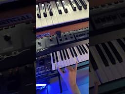Sequential/Oberheim synths love (J3PO improvisation)
