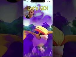 INSANE Shadow Pidgeot DAMAGE!  #pokemongopvp