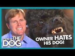 Dog Hates Owner! Can This Owner Learn to Love his Dog?! | It's Me or The Dog
