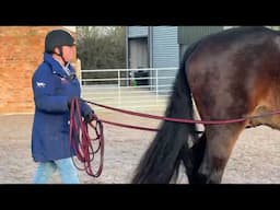 Long lining over walk poles as part of your fittening work