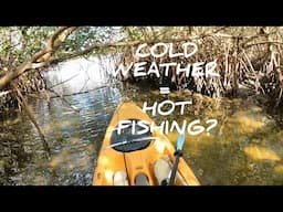Cold Front Fishing, Is it any good?