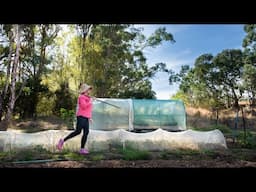 Designing the Flower and Vegetable Plot. Gardening in Australia.
