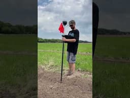 Planting hazelnuts from seed in Wisconsin