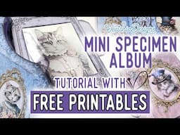 Mini Specimen Album Tutorial + All the Printables for Free | Lady Cats version
