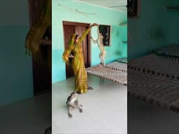 Babu chandu new funny video #funny #monkeychallenge #monkeyclip #cute