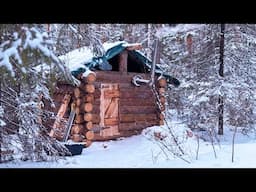 BUILDING A VERY WARM LOG CABIN. FROM START TO FINISH!