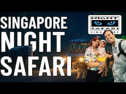 Singapore Zoo Night Safari | Singapore Tour | Places to visit in Singapore | Clarke Quay Singapore