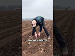The Most Stressful Job on our Farm #farming