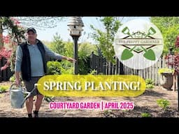 Spring Planting! | Courtyard Garden: Hostas, Hellebores & Woodland Charm (2025)
