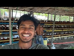 আজকে বয়লার মুরগী বিক্রি করলাম.  New video 2025 The Talk Of Life is live