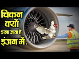 मुर्गी क्यों डाला जाता है इंजन में? || Why Are Chickens Thrown Into Jet Engines?