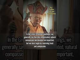 Devotion and compassion are the greatest techniques