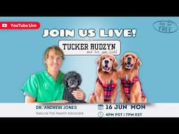 Dog Cancer Natural Remedies for Prevention and Treatment | Livestream with TuckerBudzyn