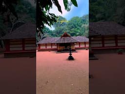 ഇരിങ്ങോൾ കാവ്🛕