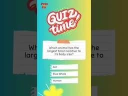 Animal Quiz Time #31 #animalfacts #shortsviral #kidsquiz