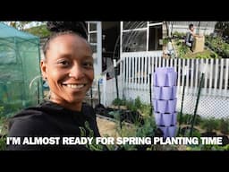 Should Garden Beds Be Mulched | My First Greenstalk (I'm Not Good at Math)