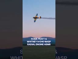 Here you go- that sweet, sweet sound of a Pratt & Whitney R-1340 radial engine 🥵🤤 with NO MUSIC!