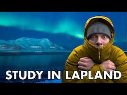 University of Lapland Tuition Fees & Scholarships EXPLAINED!