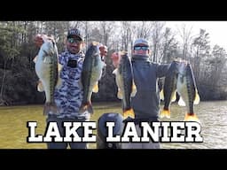 THIS PLACE IS CRAZY!! (LAKE LANIER)