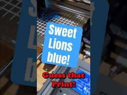 Guess that print! Sovol SV06 Sweet Lions Blue Polar Filament