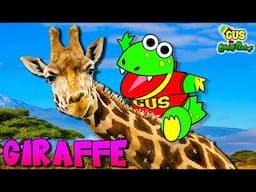Gus Meets EXOTIC ANIMALS at the Interactive Zoo!