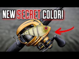 This SIMPLE Change Caught MORE Fish!
