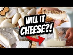 WILL IT CHEESE? VEGAN, MELTY, FIRM & AGED 🧀 Plant-based Cheese Basics & more!