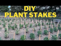 DIY Plant stakes using 2 by 4