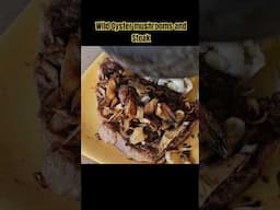 Foraged oyster mushrooms on steak.#oystermushrooms #forager #steak
