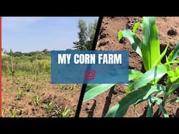 Typical Africa village life. Starting up a farm part 1