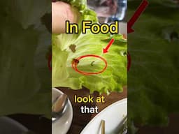Insect in our food in Ubud, Bali 😮